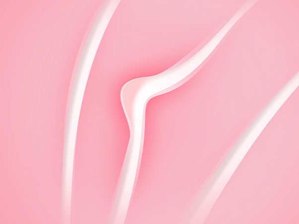 Abstract drawing of a vagina