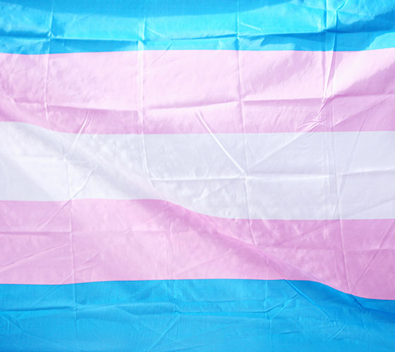 Transgender Flag