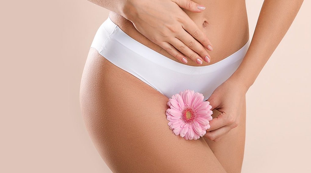 Women in underwear holding a flower against her thigh.