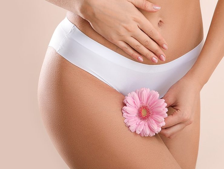 Women in underwear holding a flower against her thigh.