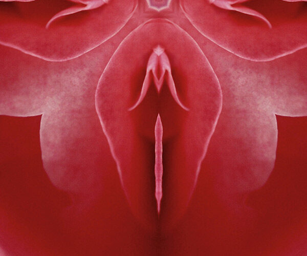 Labiaplasty Surgery concept with red flower shape