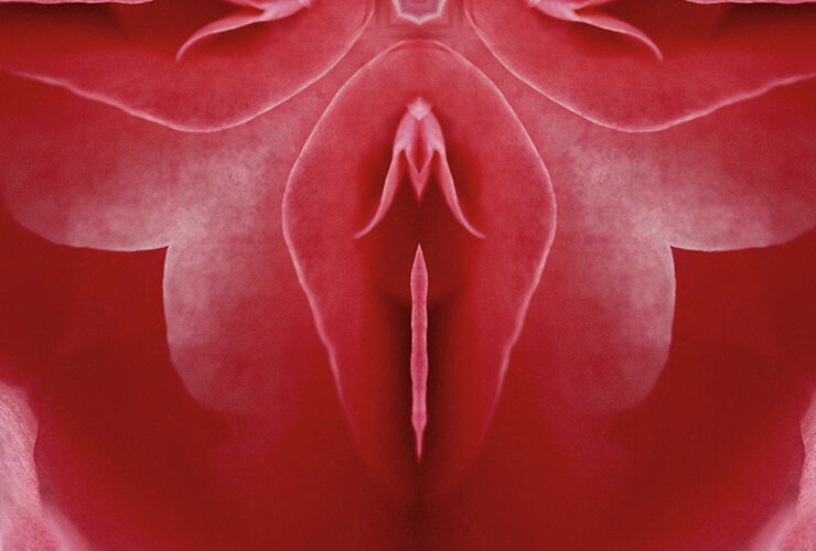 Labiaplasty Surgery concept with red flower shape