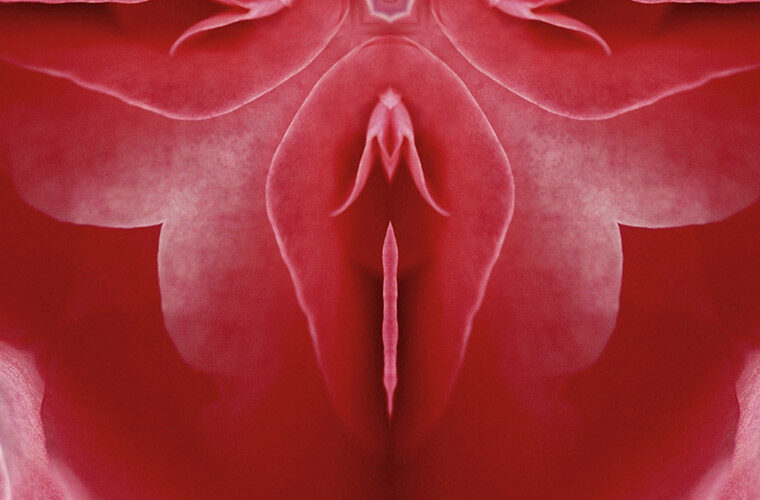 Labiaplasty Surgery concept with red flower shape