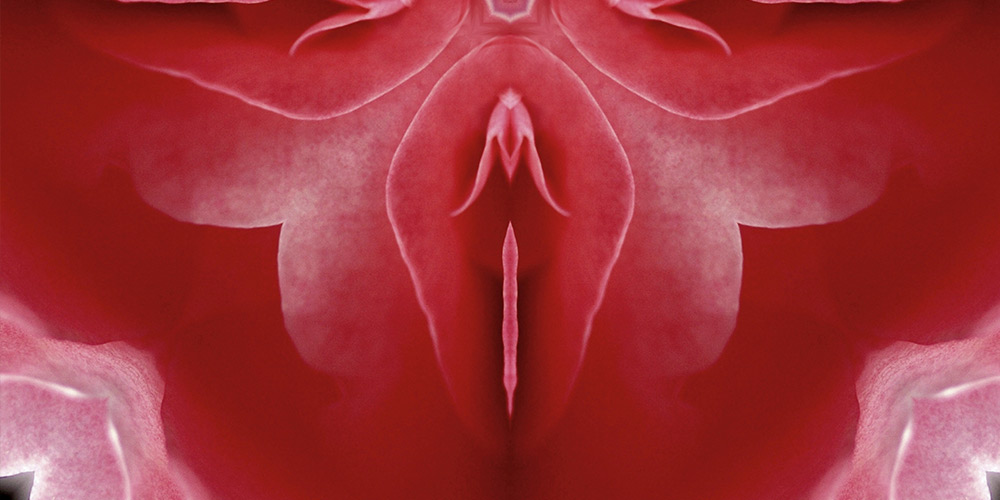 Labiaplasty Surgery concept with red flower shape